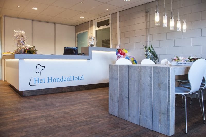 De ontvangstruimte met de lichte balie en het logo van Het HondenHotel