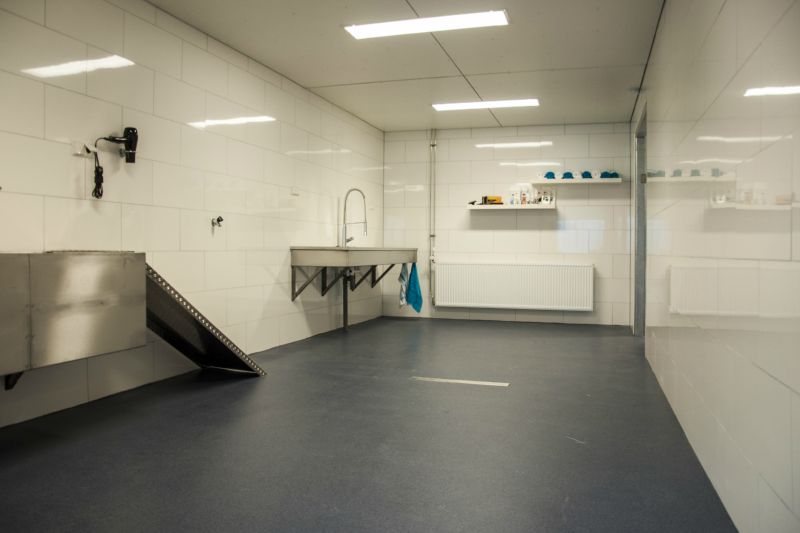 De wasruimte met betegelde wanden, een rvs wasbak met oprijplank en een douche