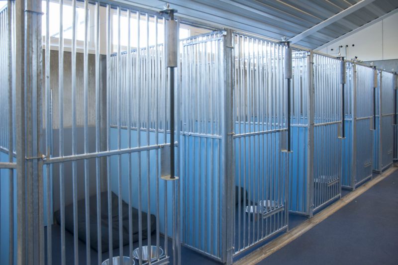 Rij binnenverblijven met gegalvaniseerde hekken en blauwe panelen