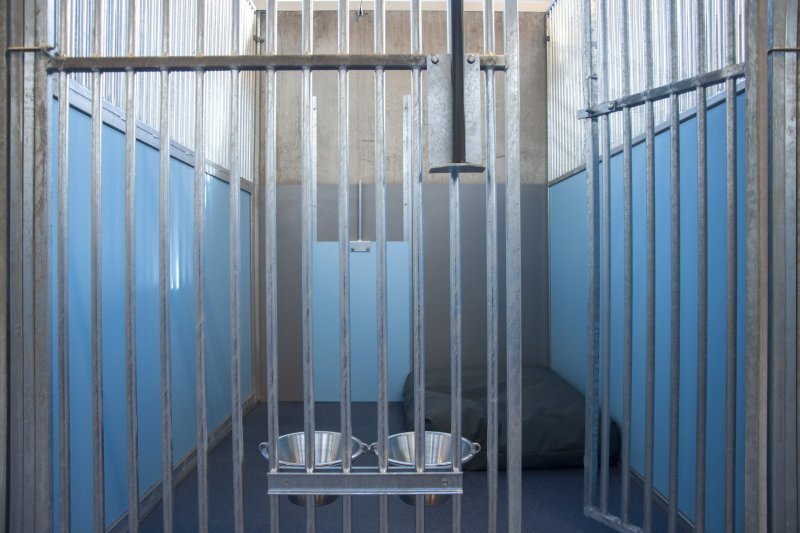 Een binnenverblijf met twee voerbakken aan het hek en een blauwe wand