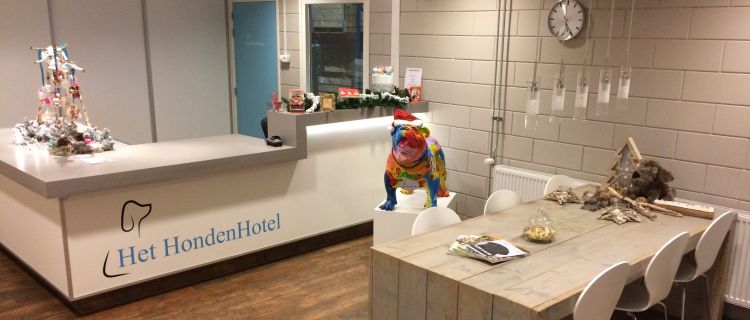 De balie in de ontvangstruimte met een kleurrijk bulldogbeeld